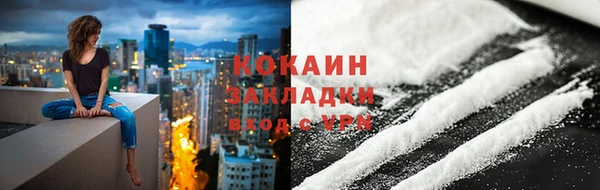 прущие грибы Елабуга
