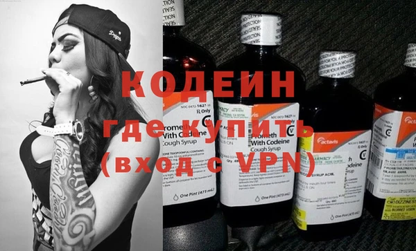 хмурый Алзамай