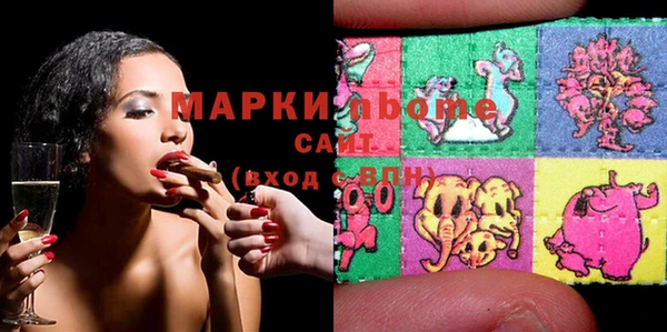 хмурый Алзамай