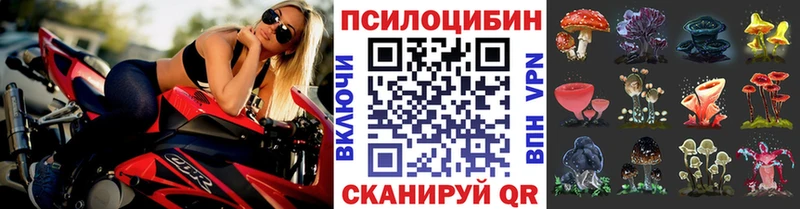 нарко площадка телеграм Сочи Галлюциногенные грибы GOLDEN TEACHER