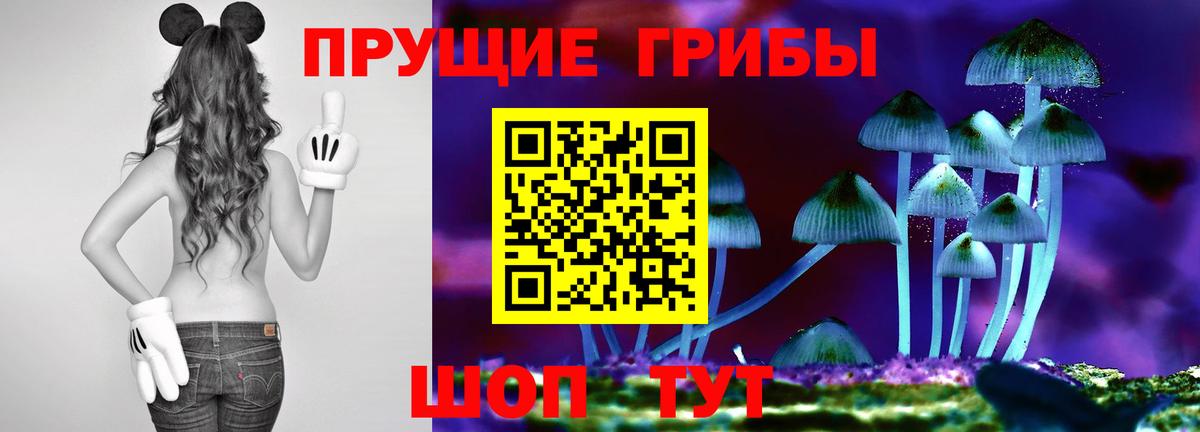 Сочи  купить наркоту  Псилоцибиновые грибы ЛСД  Вход с VPN  Псилоцибиновые грибы ЛСД 